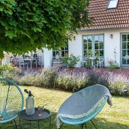 Villa Berky Kuria - Stylish In The Hills Of Tolna For 16people *