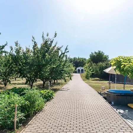 Berky Kuria - Stylish In The Hills Of Tolna For 16people Villa *