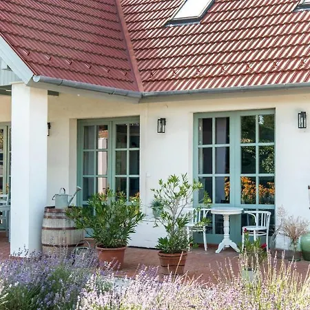 Berky Kuria - Stylish In The Hills Of Tolna For 16people Vila Nagykonyi