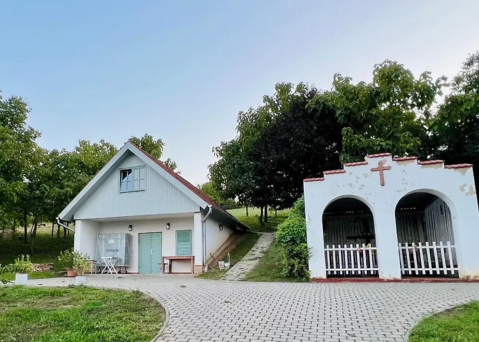 Berky Kuria - Stylish In The Hills Of Tolna For 16people Vilă *
